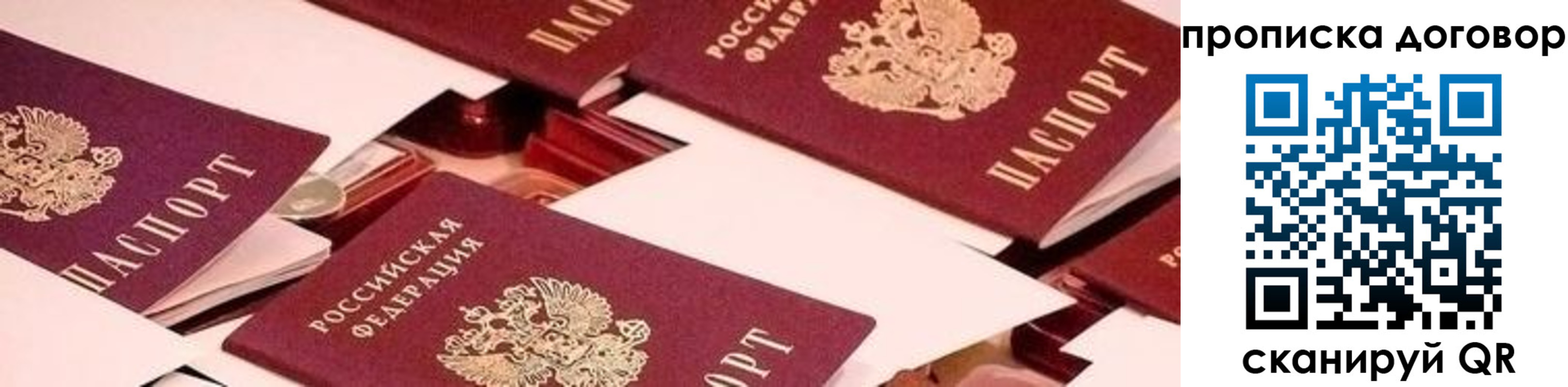 прописка 2025 в Выборге